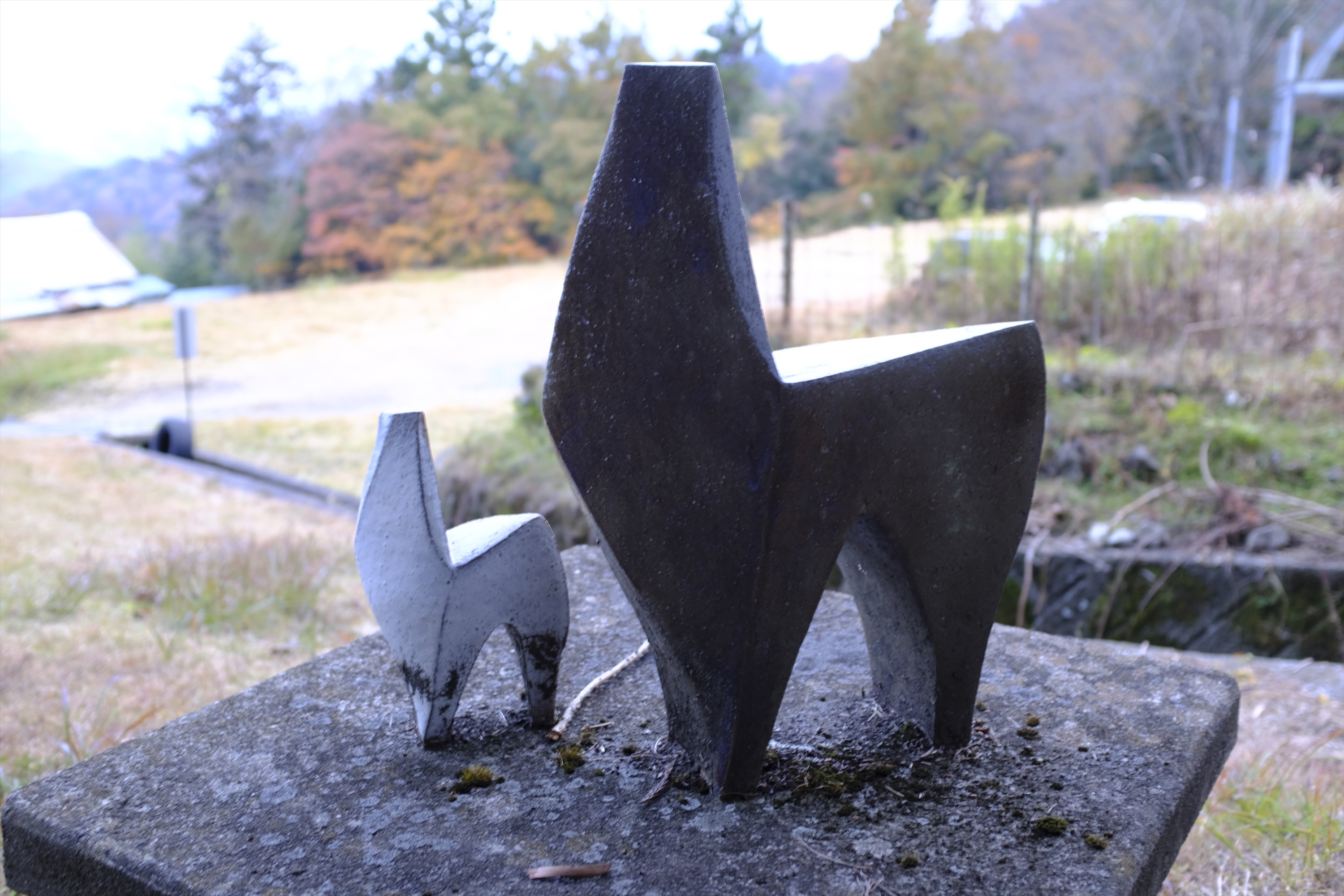 minobu_camp_site_2