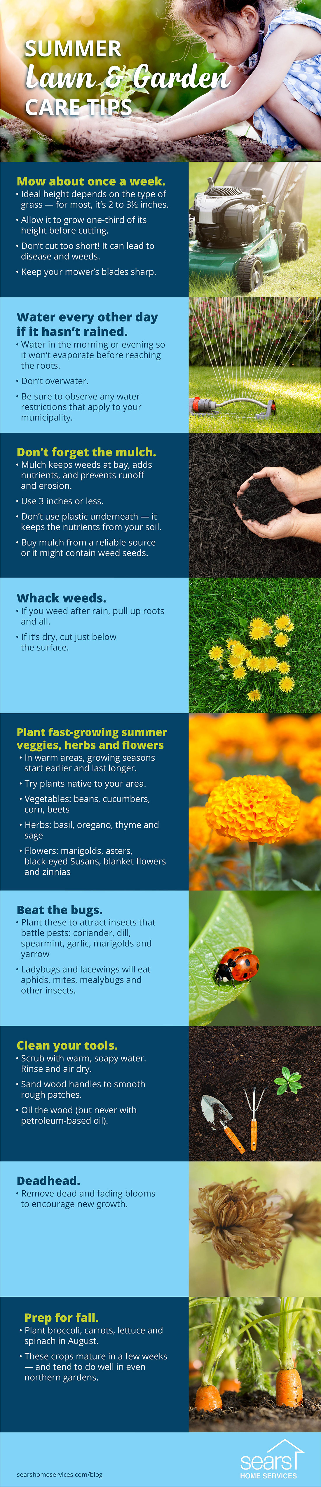 Garden Care: 9 Tips for Summer Lawn and Garden Care