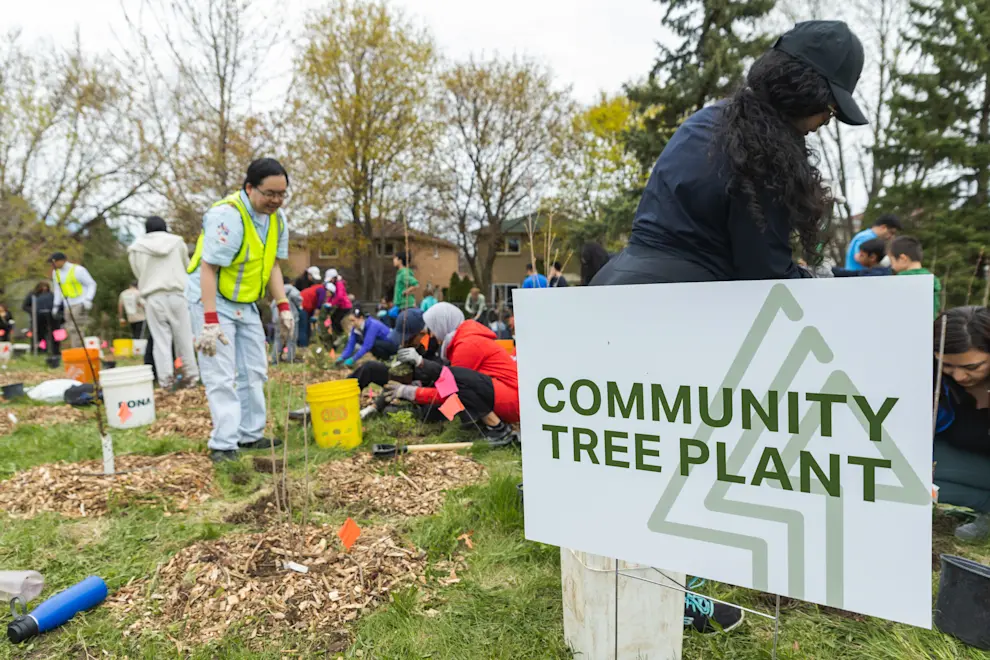 FC_TreePlant-0357.jpg