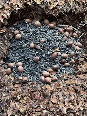 15-09-25_WhitePine Collection_York Region_stangir (21).JPG