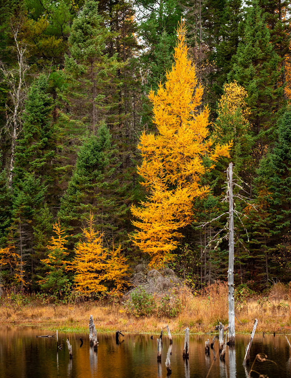 SECOND_2 - Autumn Beacon_John Hoogendoorn.jpg