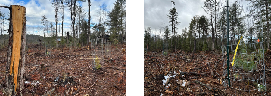 Hero - GT2 (900 x 500 px) (1).png