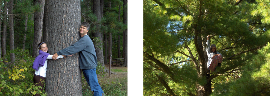 Hero - GT2 (900 x 500 px).png