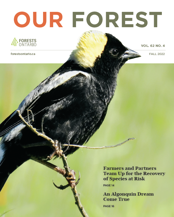 Our Forest Magazine - Volume 62, Number 4 | Forests Ontario
