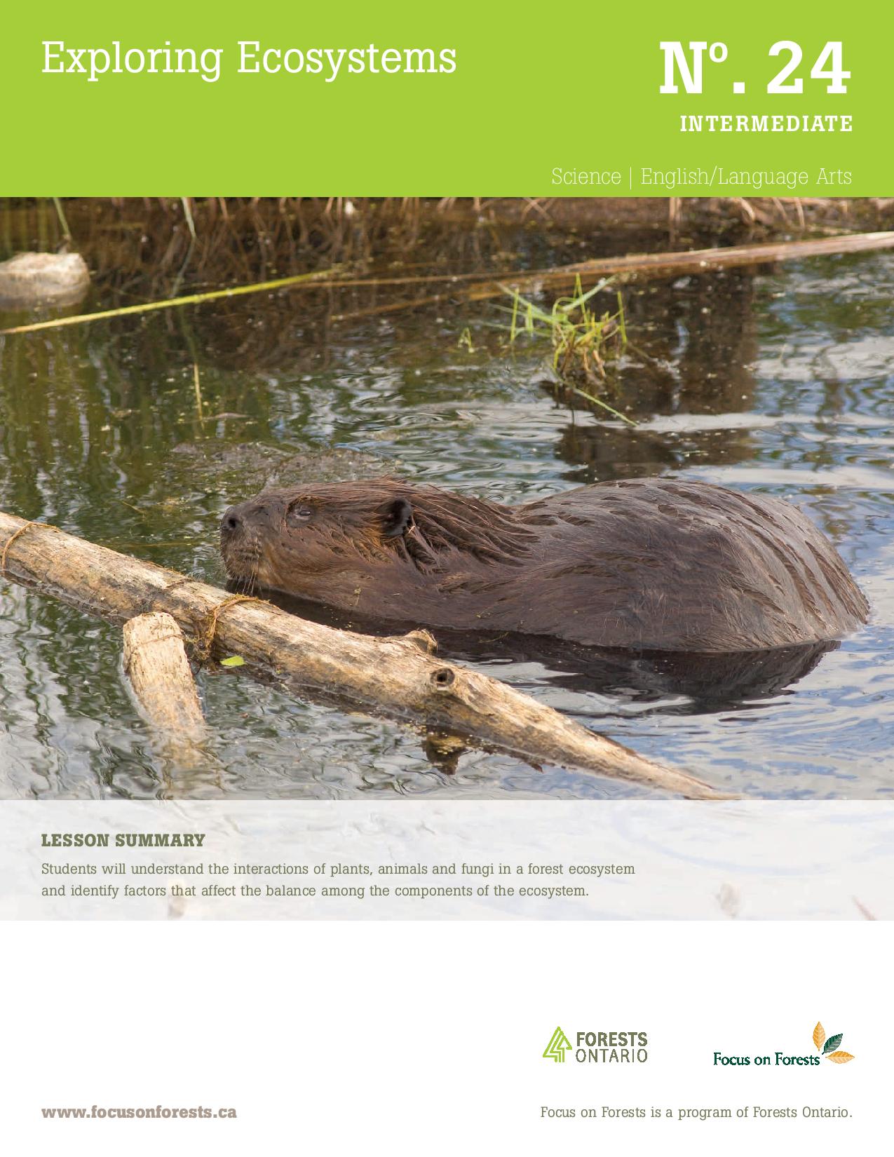 Exploring Ecosystems | Forests Ontario