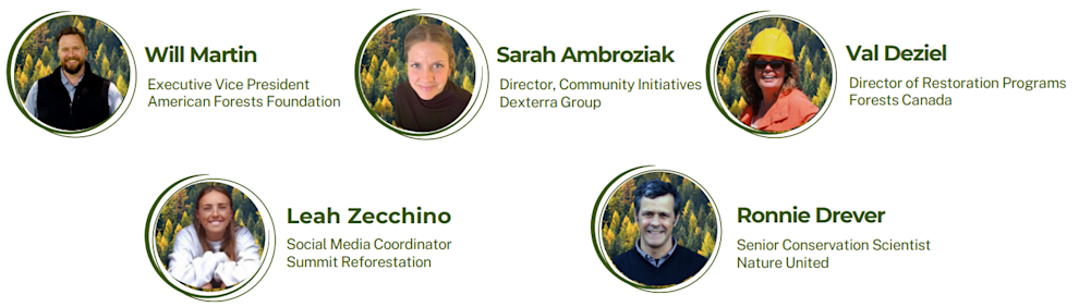 Screenshot 2024-11-25 095223.png