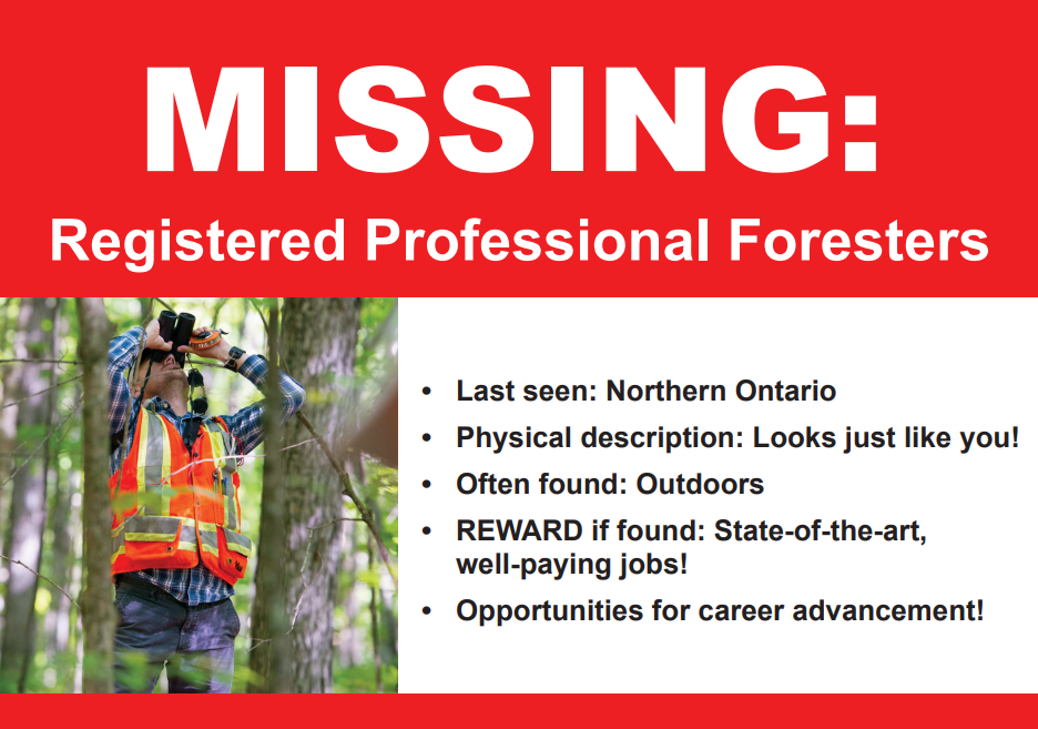 Missing-poster-1.png