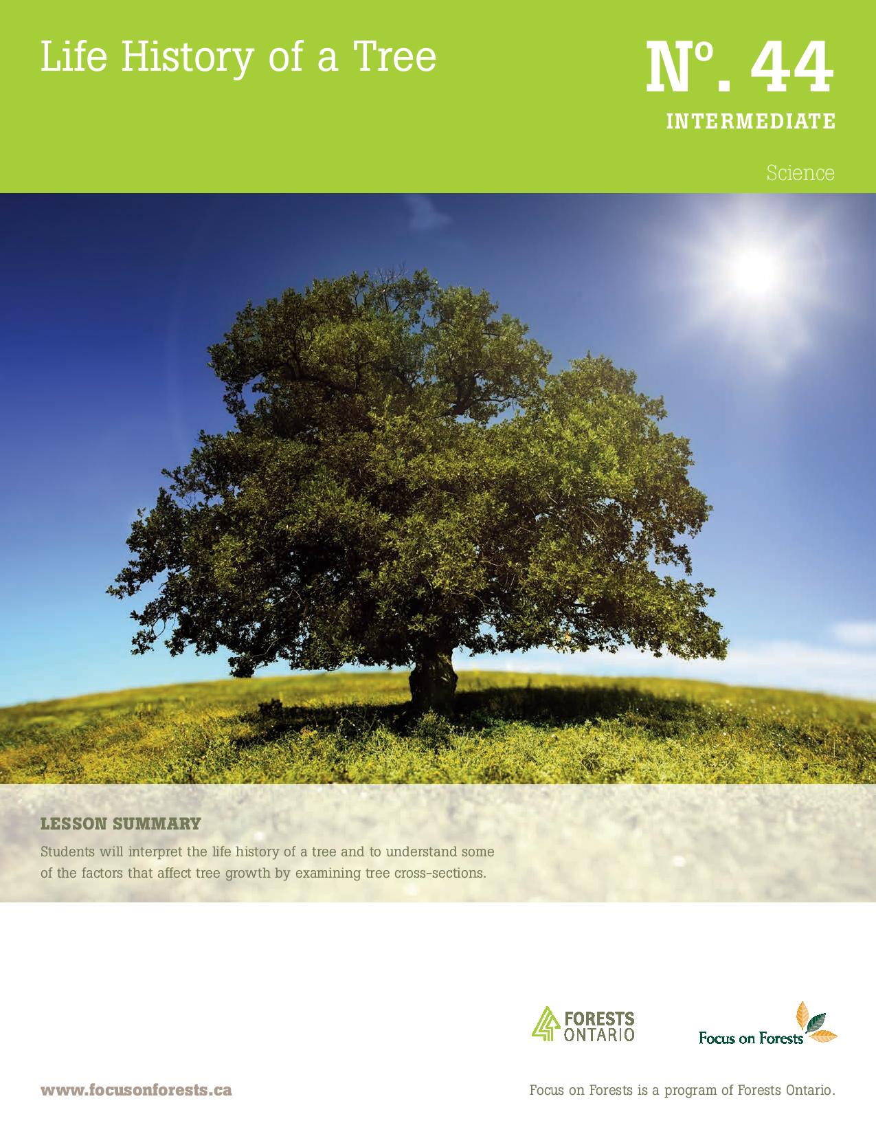 Discover The Secret Life Of Hardwood Lumber Its Tree Origins - t4pikc9