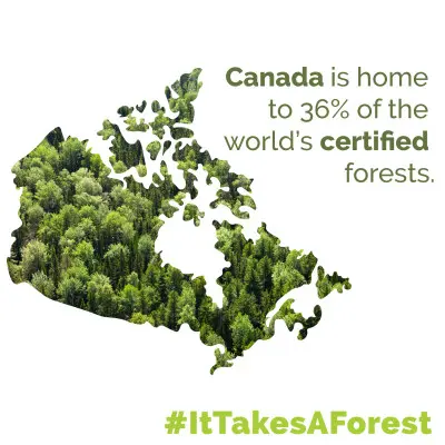 certification (1).jpg