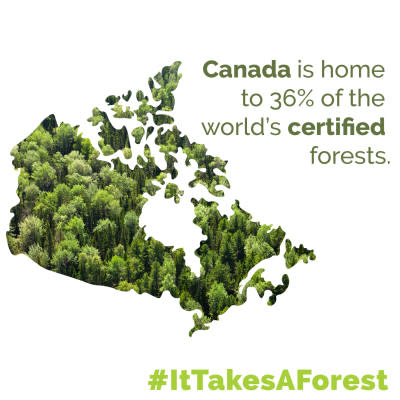 certification (1).jpg