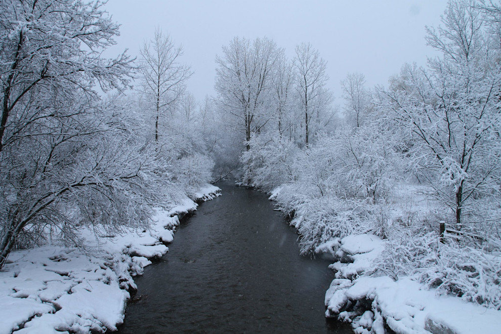 2nd Place- Kristi McManus.jpg