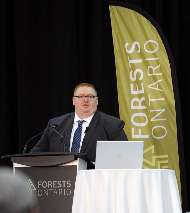 Ontario government invests $2.1 million for tree planting through ...