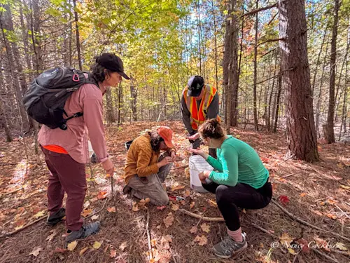 collecting cones oct. 2025.jpg