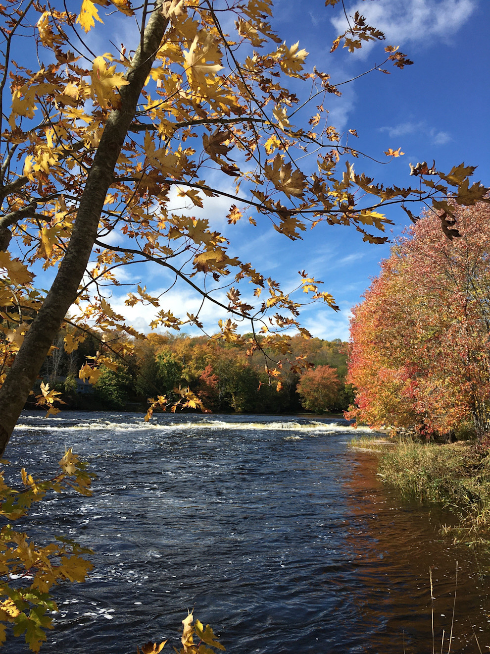 vanderwater_fall3.jpg