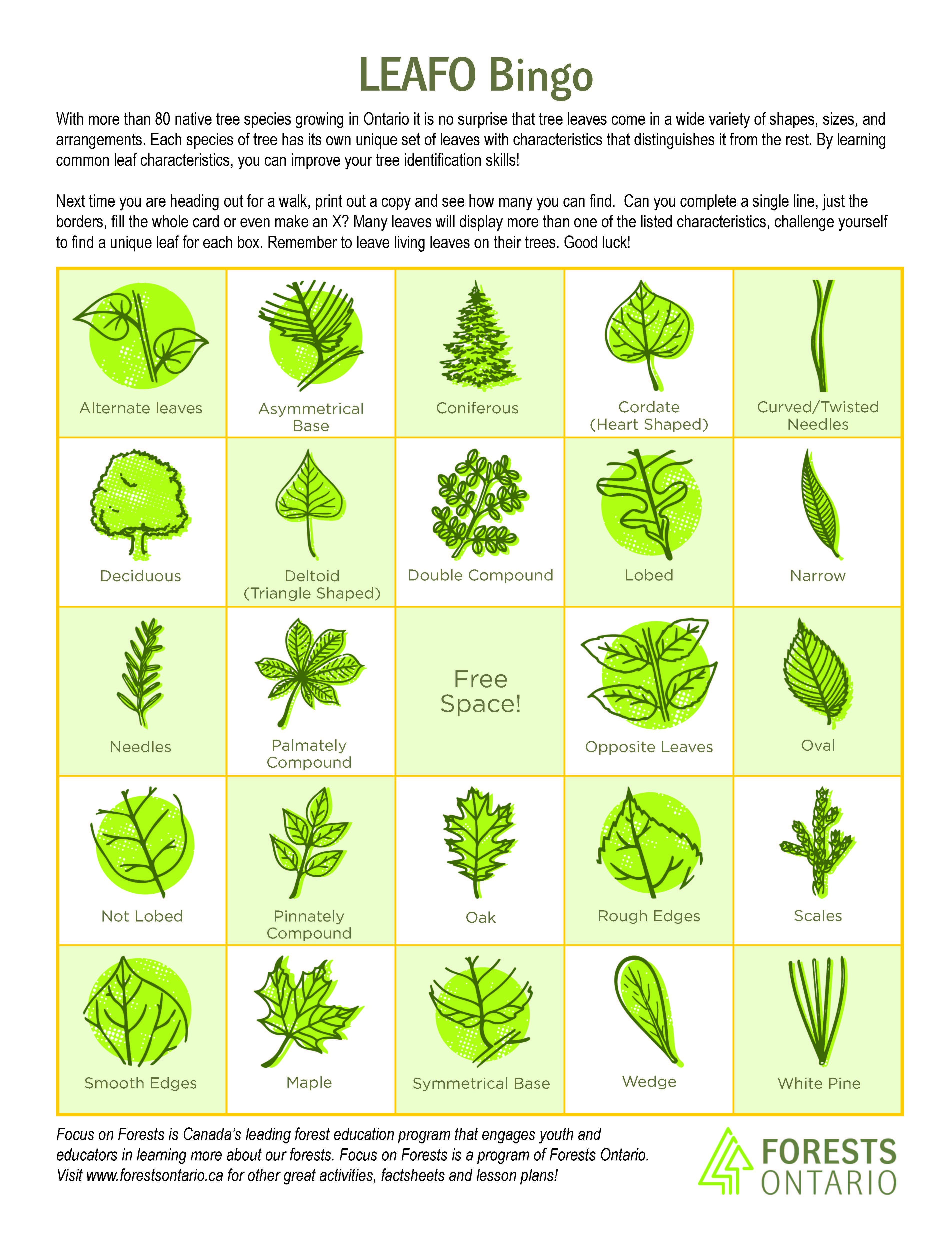 Leaf Bingo | Forests Ontario