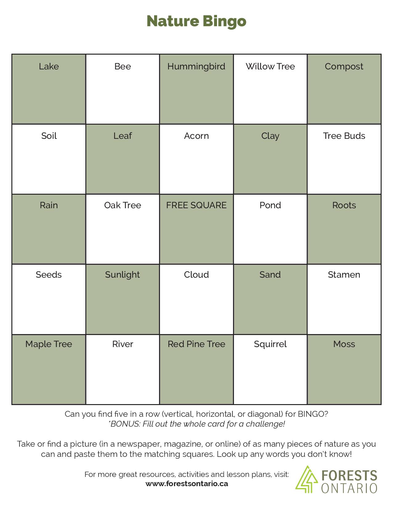 Nature Bingo | Forests Canada