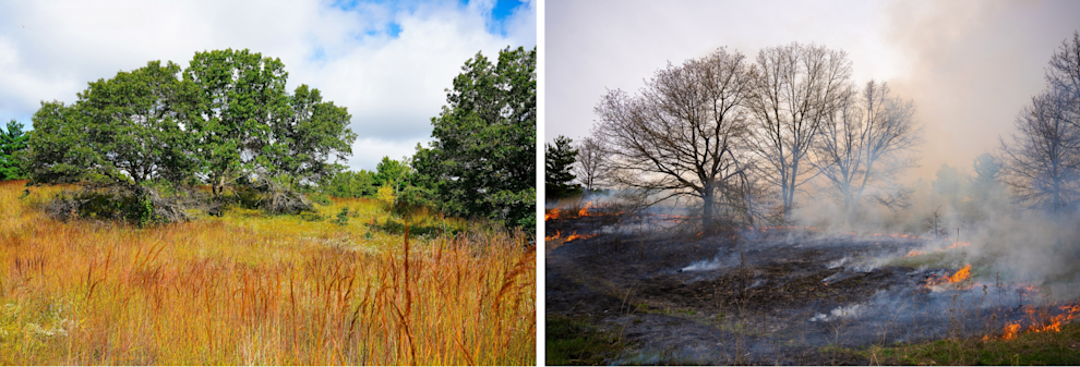 Untitled design (34).png