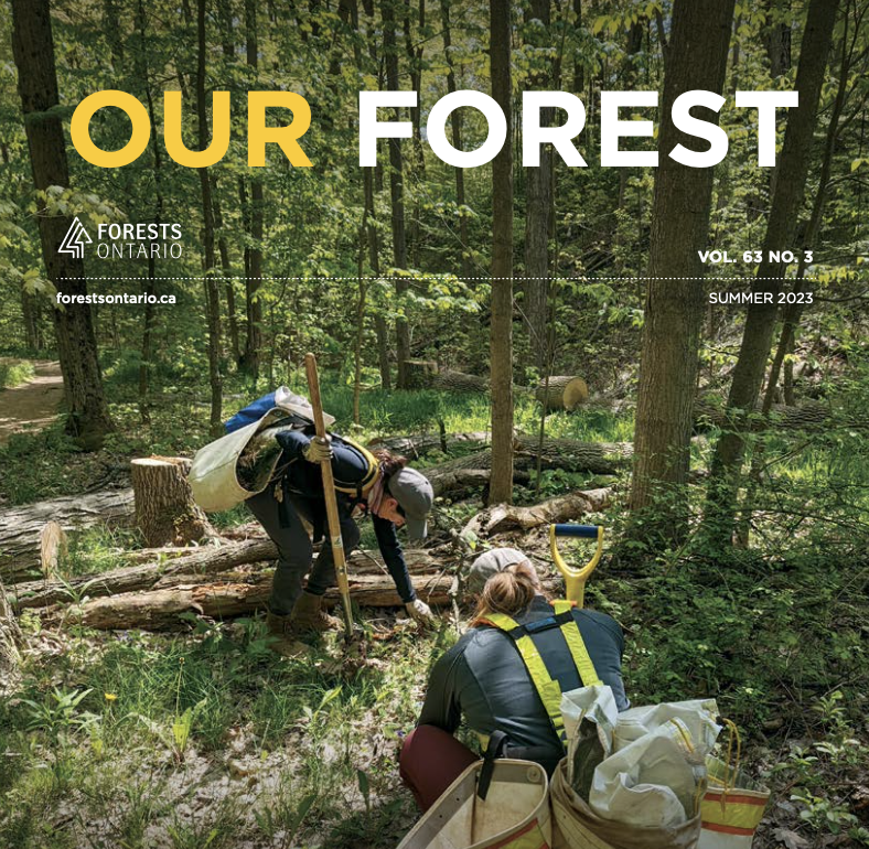 Our Forest Magazine - Volume 63, Number 3 | Forests Ontario