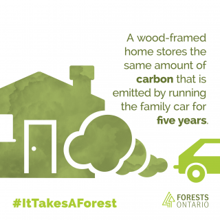 FO-ITAF-Climate-Change-Shareable-03-1200x1200-320x320.png