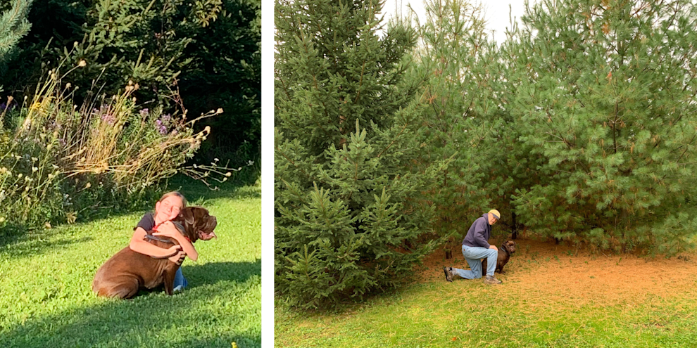 Untitled design (38).png