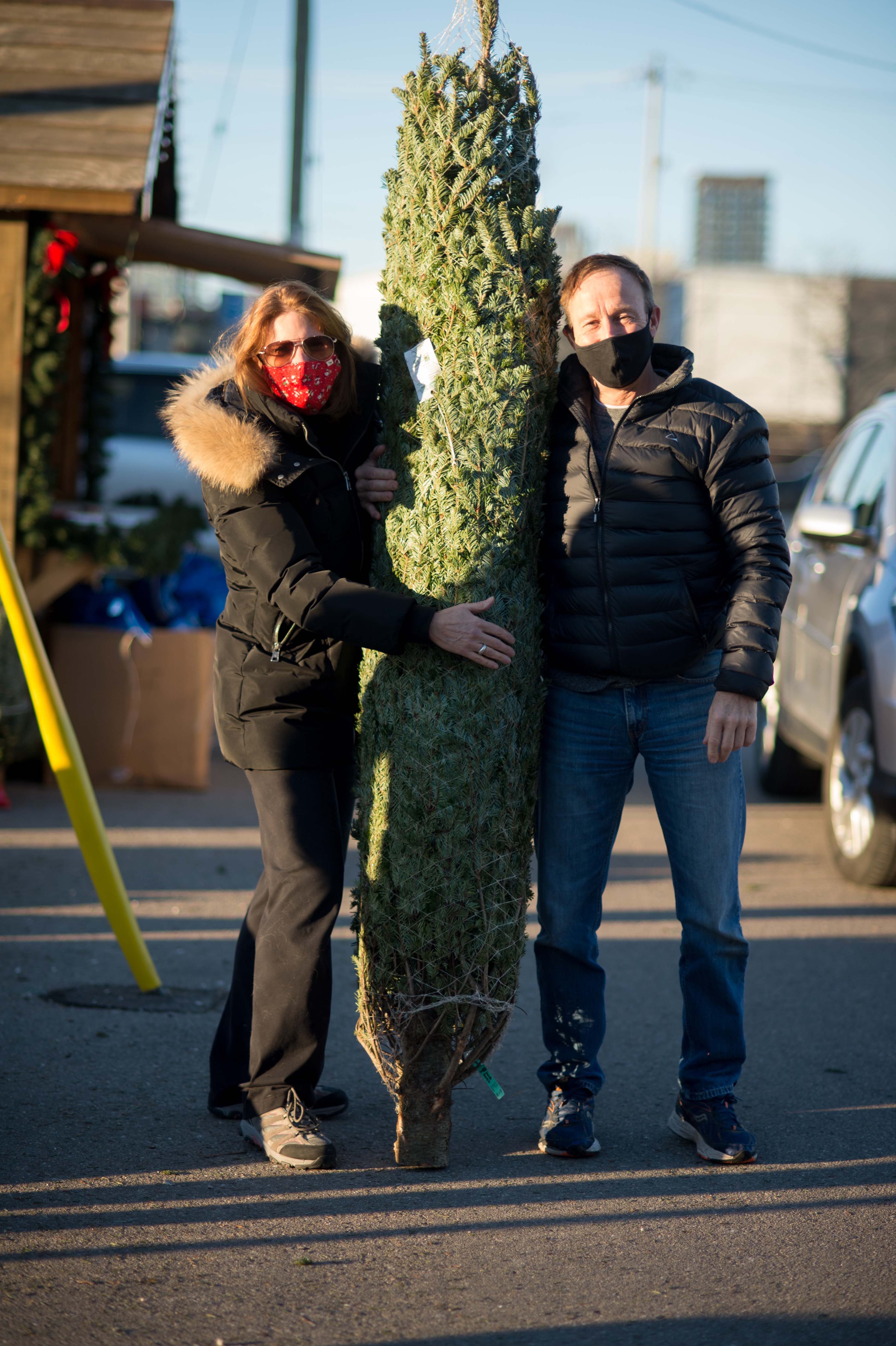 Celebrate National Christmas Tree Day By Going Green Forests Ontario   DSC 1604 