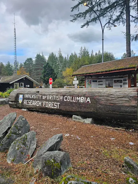UBC Research Forest.jpg