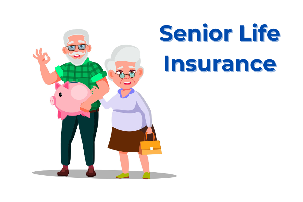 Senior Life Insurance What It Is And How It Works