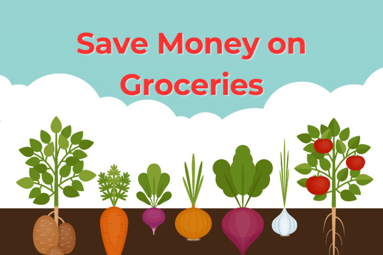 Want to Save Money on Groceries? Start a Garden