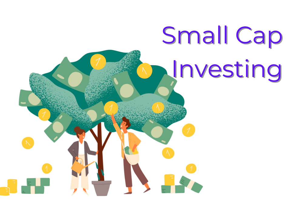 Is Small Cap A Good Investment For Long Term