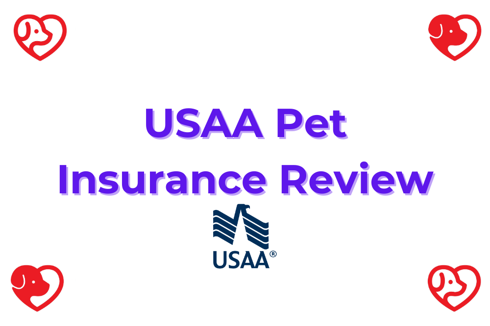 Usaa Pet Insurance Cost