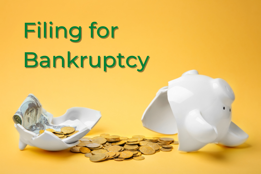 All You Need To Know About Bankruptcy Before You File