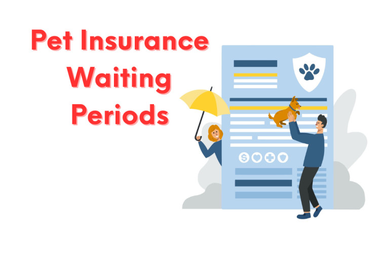Pet Insurance Waiting Periods: All You Need to Know