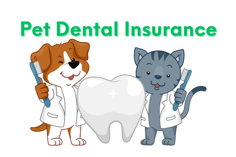 Understanding Pet Dental Insurance
