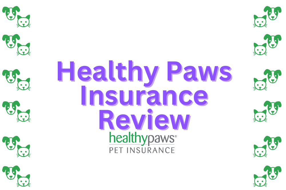 Best Pet Insurance Companies Of 2024