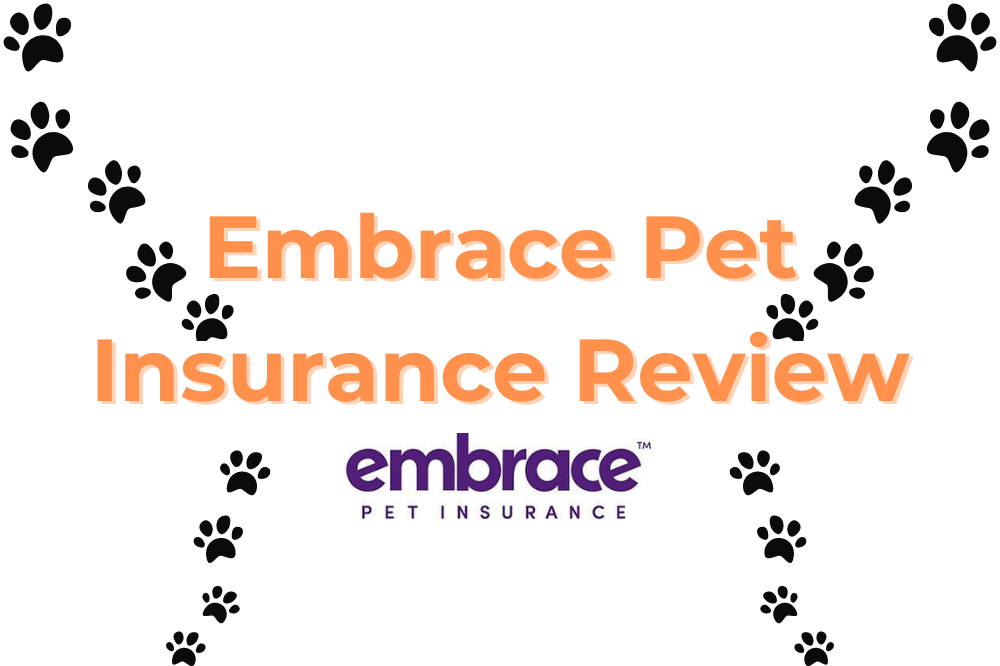 Embrace Pet Insurance