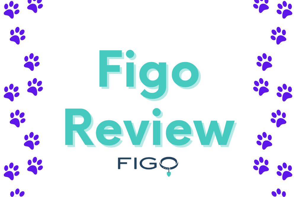 Figo Pet Insurance Review – Help For Your Furry Friend