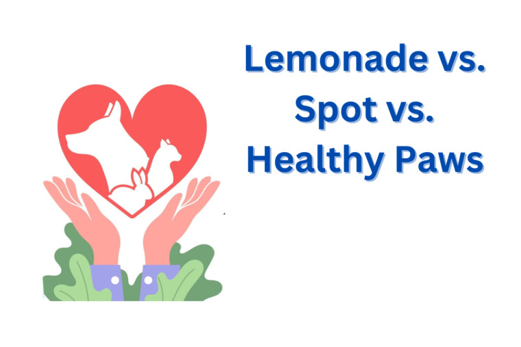 Lemonade vs. Spot vs. Healthy Paws
