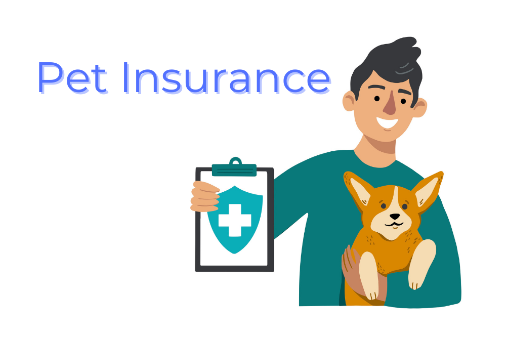 Best Pet Insurance Companies Of 2023