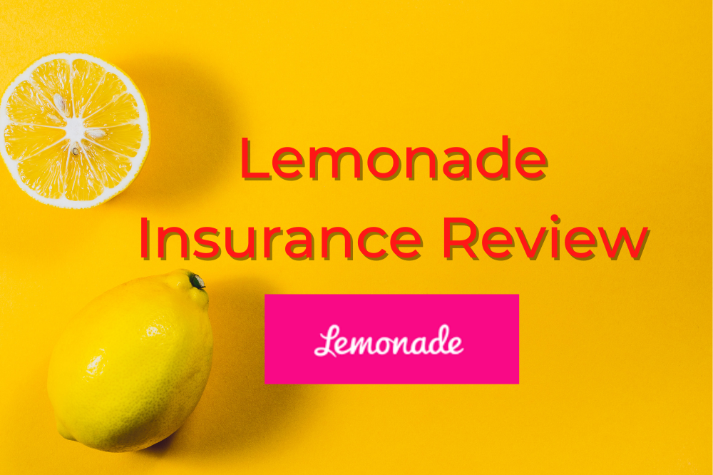 Lemonade Insurance Review 2023 – The Company That Gives Back