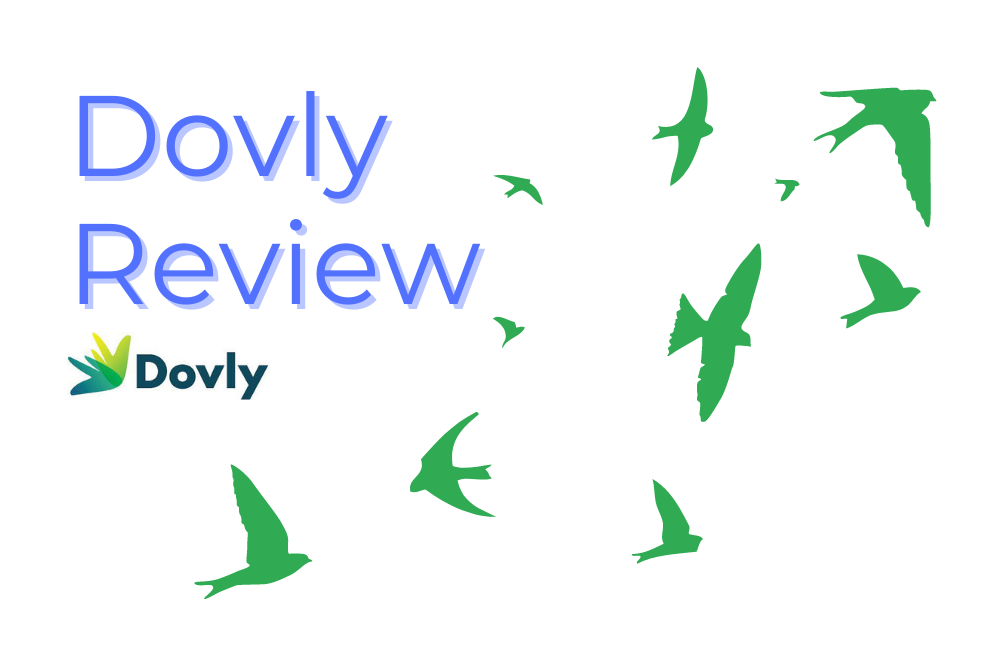 Dovly Review – A Cost-Effective Credit Repair Solution