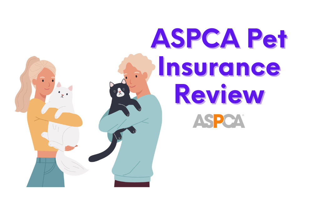 ASPCA Pet Insurance Review Extra Protection for Your Pet