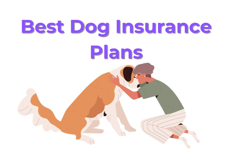 The Best Dog Insurance Plans of 2024