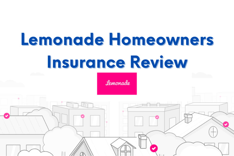 Lemonade Homeowners Insurance Review 