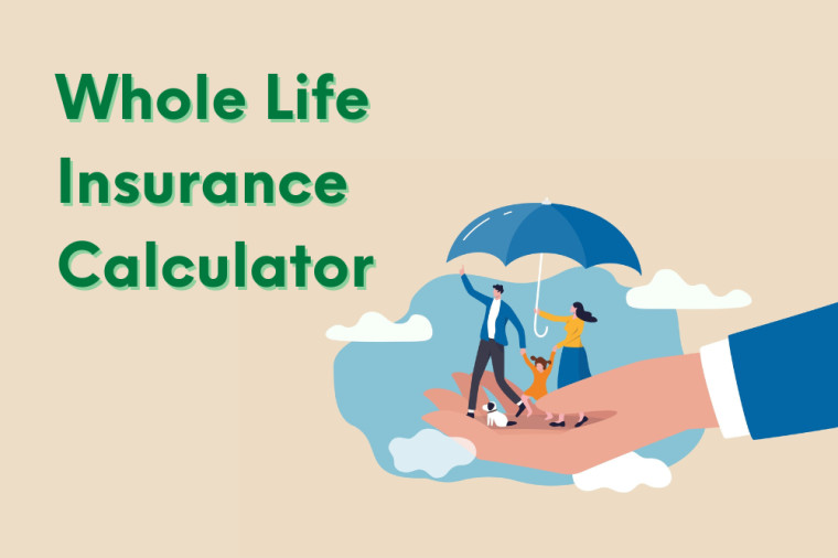 Whole Life Insurance Calculator