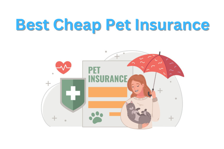 Best Cheap Pet Insurance for 2024