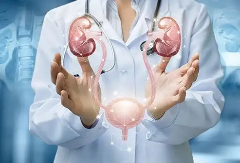 Salient Journal of Urology