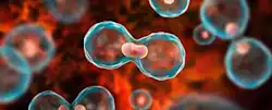 Annals of Clinical Oncology and Cancer Research
