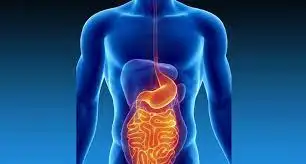 International Journal of Gastroenterology and Hepatology (ISSN: 2995-2301)