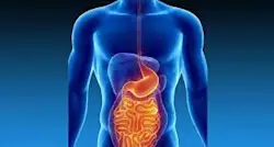 International Journal of Gastroenterology and Hepatology (ISSN: 2995-2301)