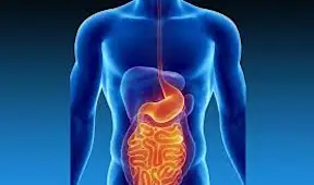 International Journal of Gastroenterology and Hepatology (ISSN: 2995-2301)